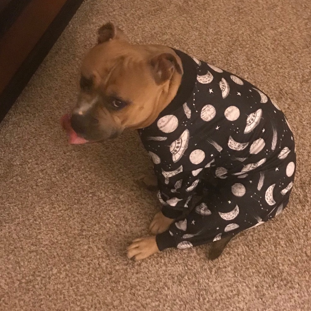 Meet your Posher, Monique